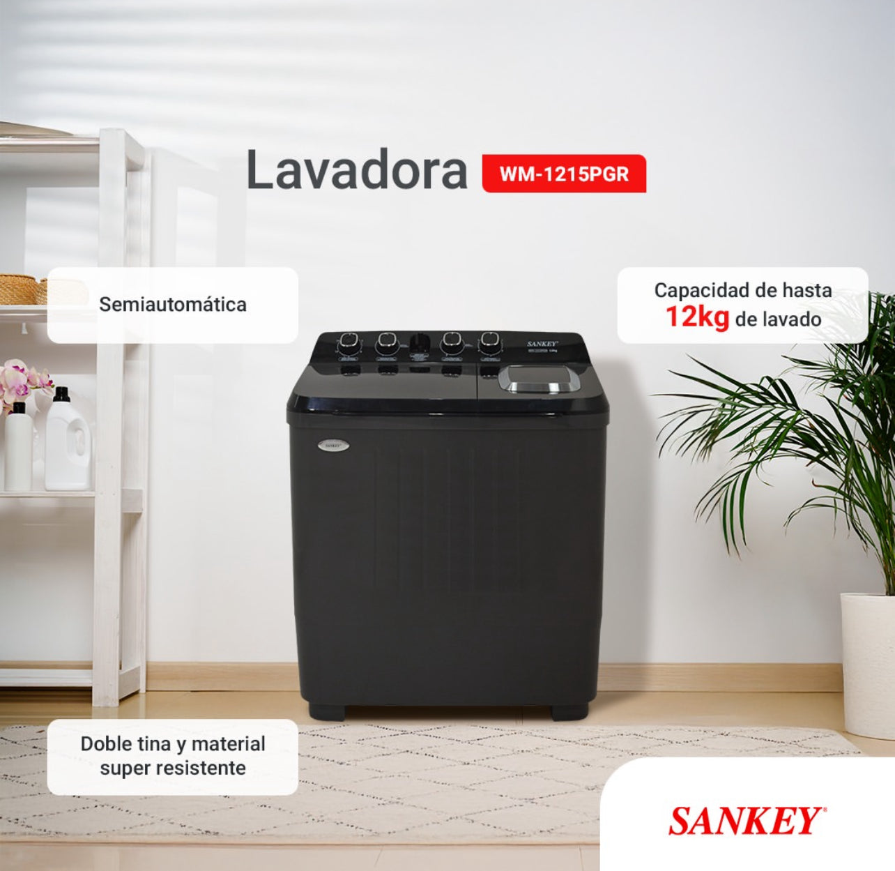Lavadora sankey